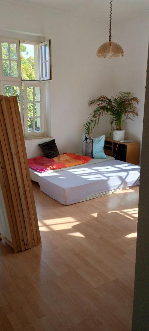 Forrest Apartments In Freiberg Min Stay 2 Nights Max Number Of Guest 1 Aprt 1 外观 照片
