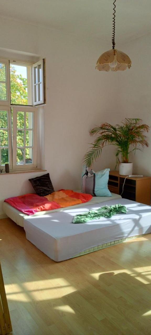 Forrest Apartments In Freiberg Min Stay 2 Nights Max Number Of Guest 1 Aprt 1 外观 照片