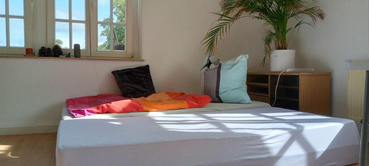 Forrest Apartments In Freiberg Min Stay 2 Nights Max Number Of Guest 1 Aprt 1 外观 照片