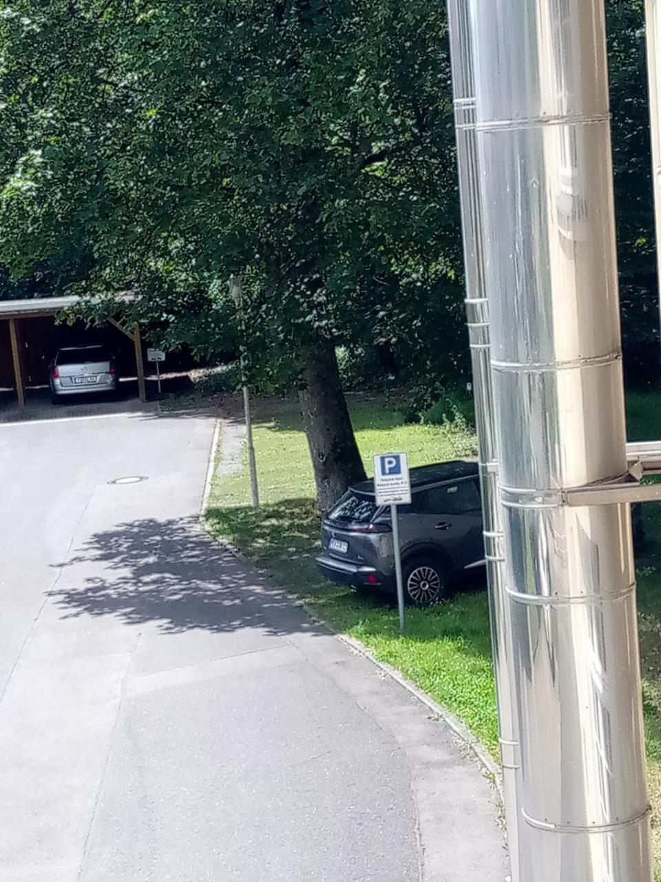 Forrest Apartments In Freiberg Min Stay 2 Nights Max Number Of Guest 1 Aprt 1 外观 照片